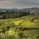 10 Things to Do in the Tuscan Countryside