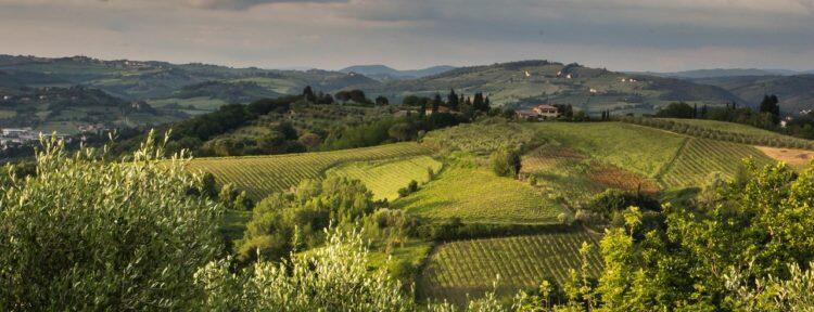 10 Things to Do in the Tuscan Countryside