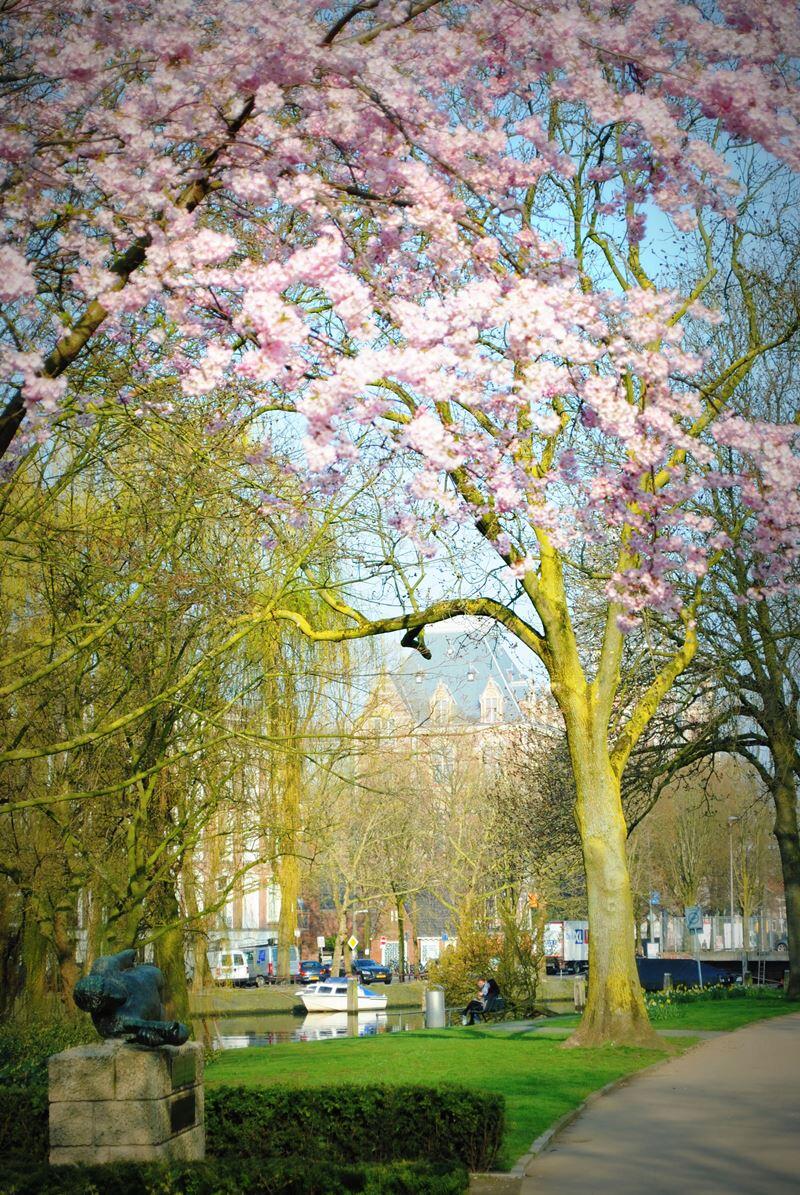 A glimpse of the Rijksmuseum in the distance