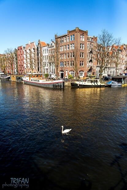 Amsterdam canal