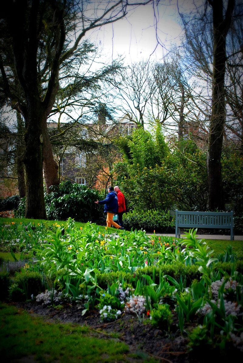 Artis zoo