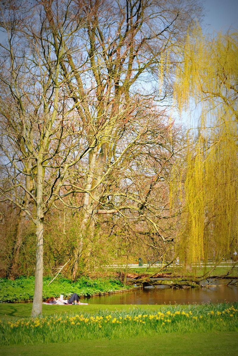 Chilling in the park