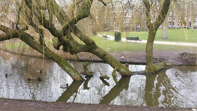 Sarphatipark Amsterdam