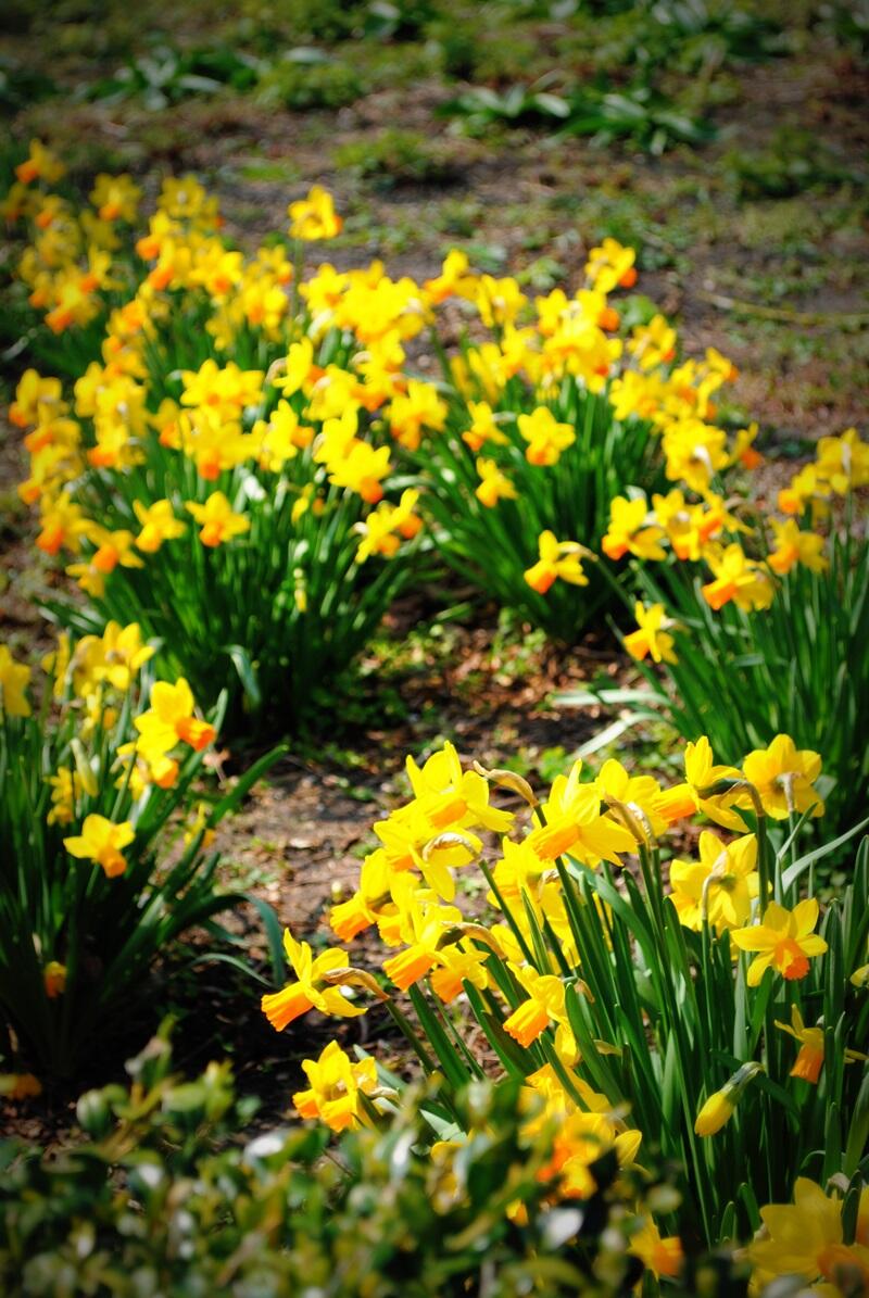 Spring is here!