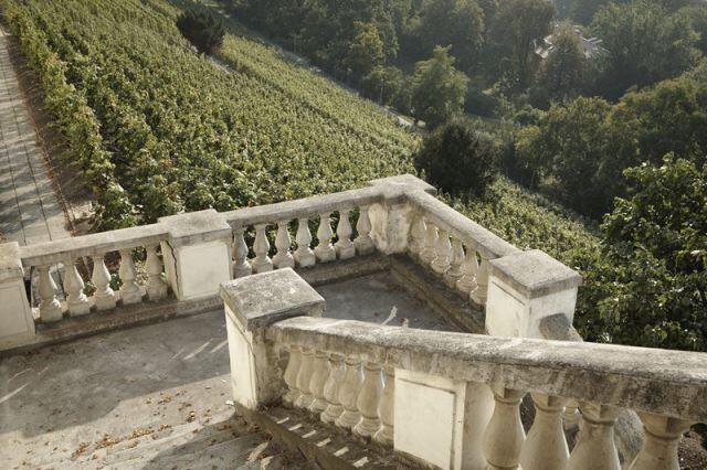 St. Clares Vineyards - Czech Republic