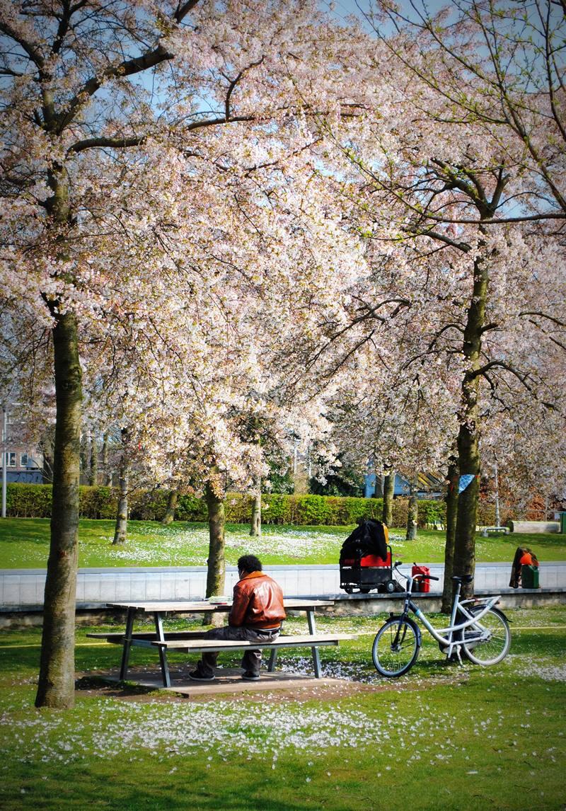 Take a break in the park