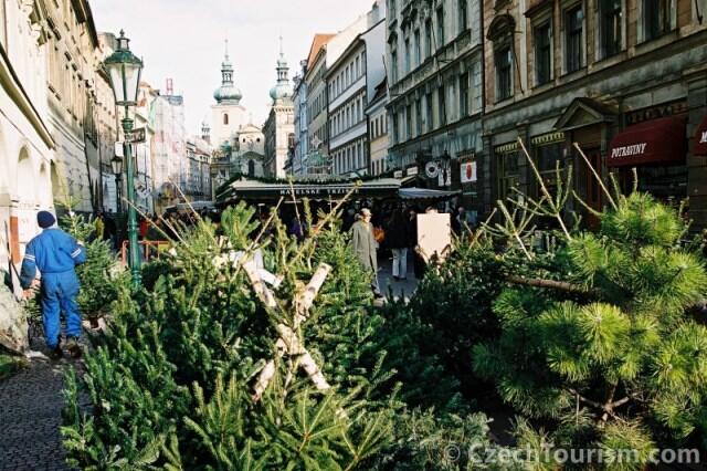 christmas trees havelska market - prague