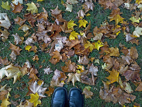 London in Autumn Autumn London