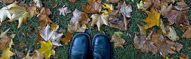 Autumn Ambles in London: Free Walking Tours