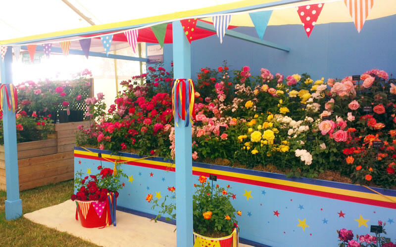 Chelsea Flower Show - London