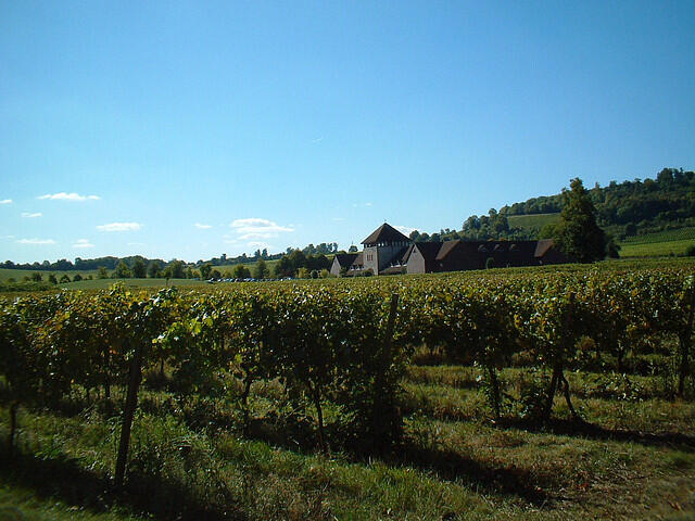 Food factory tours in London - Denbies Wine Estate