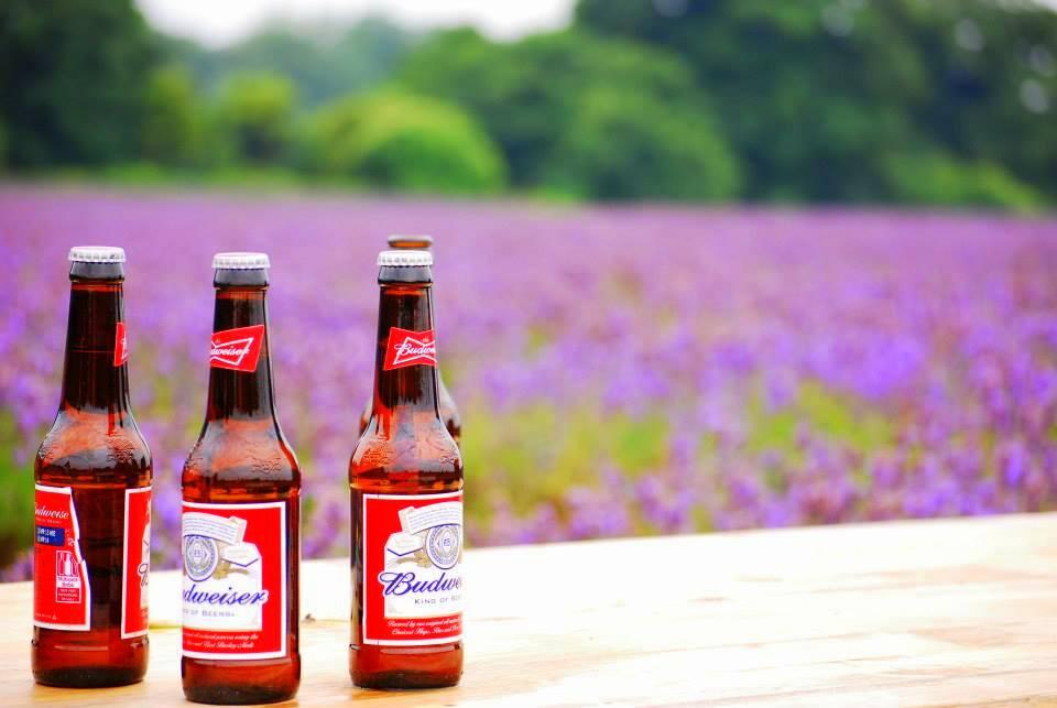 Free Things to do in London