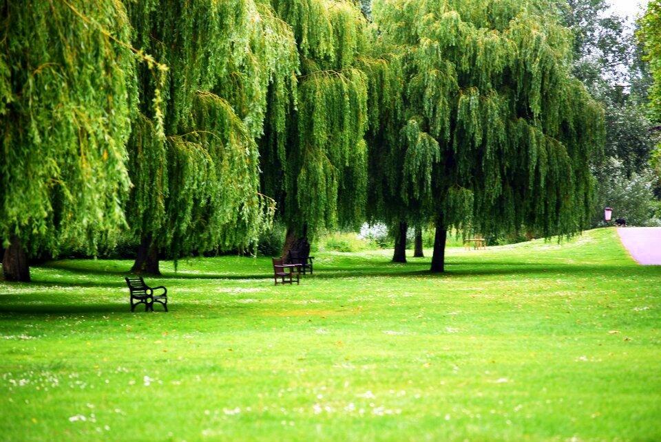 London for free