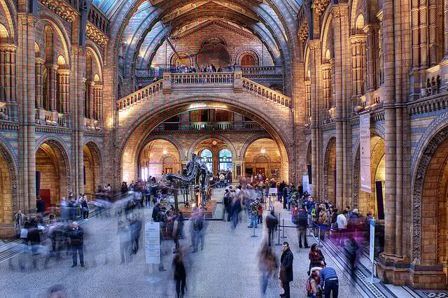 Natural History Museum London