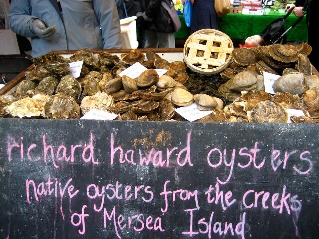 Oysters via Jeremy Keith