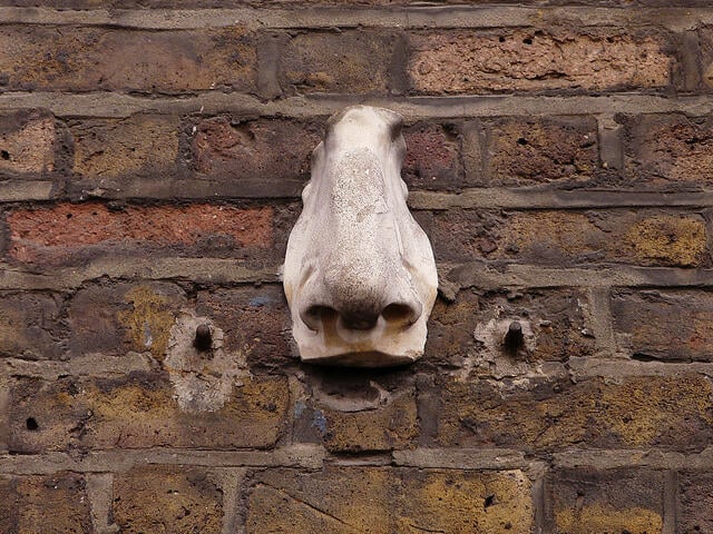 Proud nose in Soho © Karva Javi (Flickr Creative Commons)