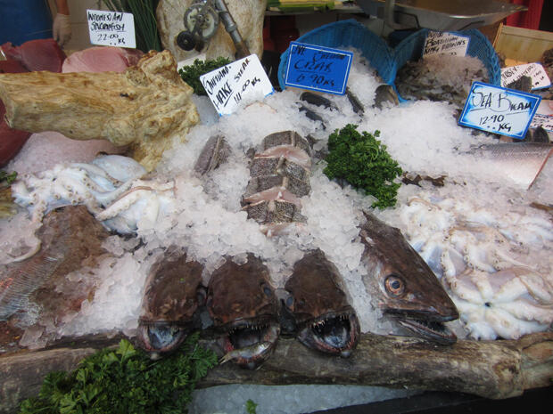 fish at the Borough Market