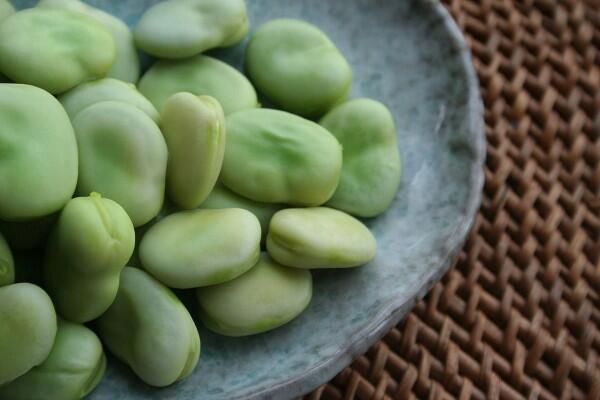 What to Eat with Wine in May: Fava Beans with Pecorino