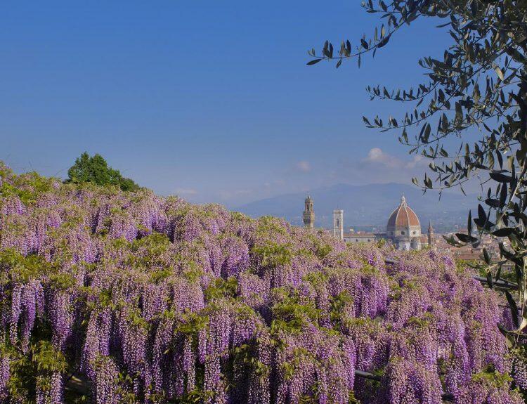 24 Unique Things to Do in Florence