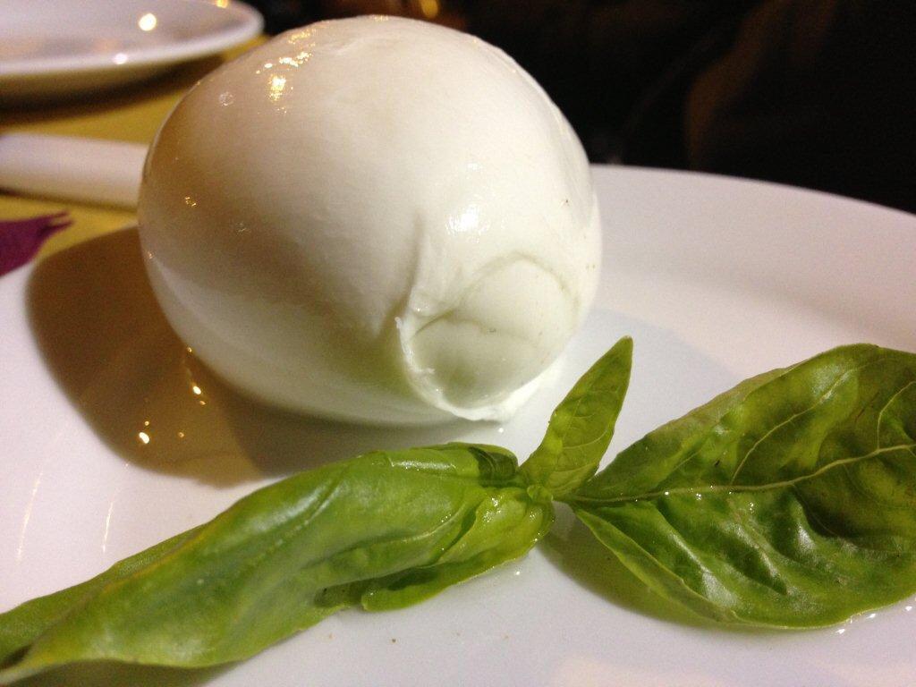 Italy’s Favourite Cheese: Buffalo Mozzarella