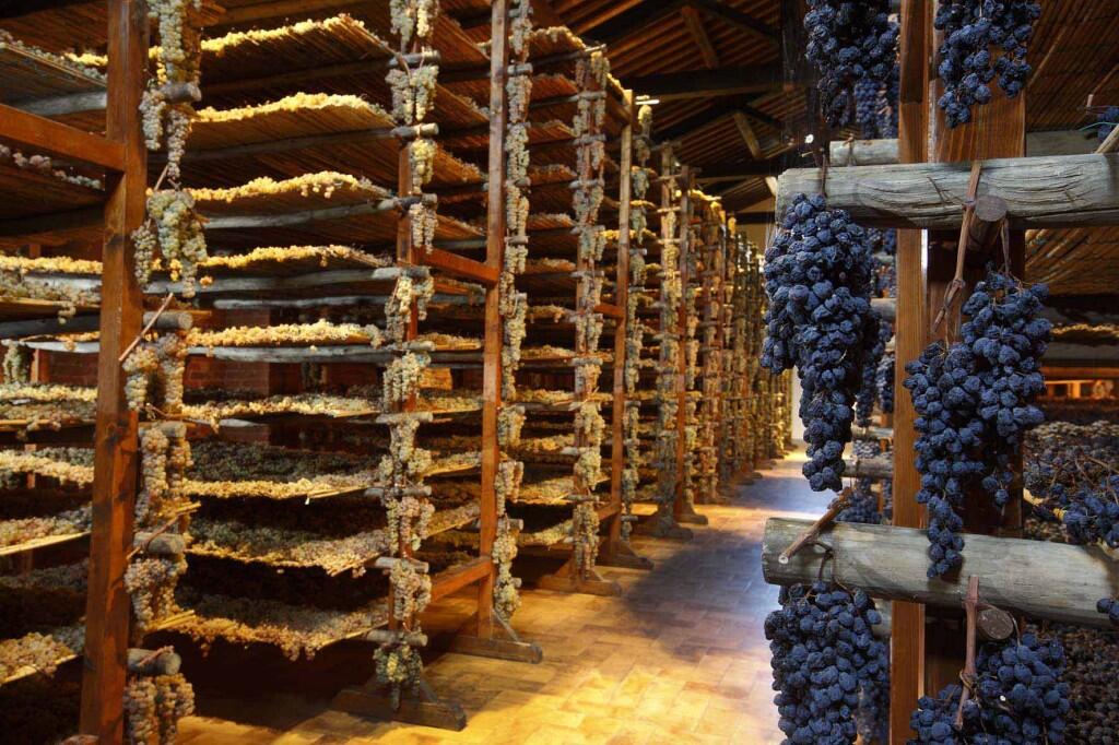 wine-avignonesi-montepulciano-tuscany