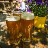 Czech Beer and Where to Find the Best in Prague
