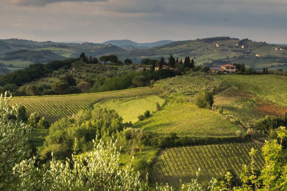 Private Tuscany Truffle Hunt