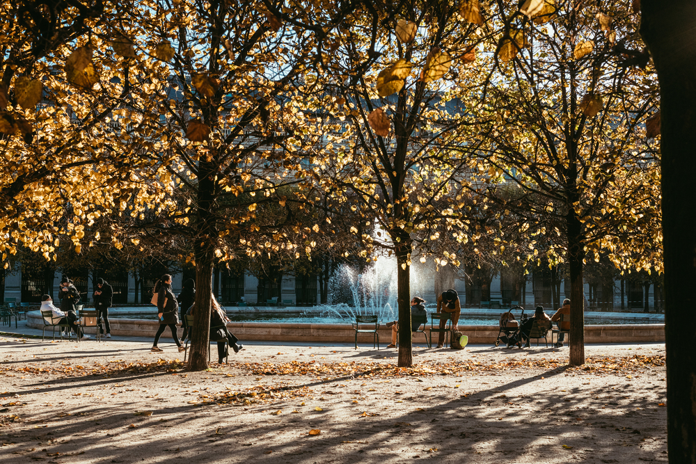 A little Parisian magic around every corner
