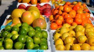 Succhi_Freschi_Ballarò_Market_Palermo_Italy