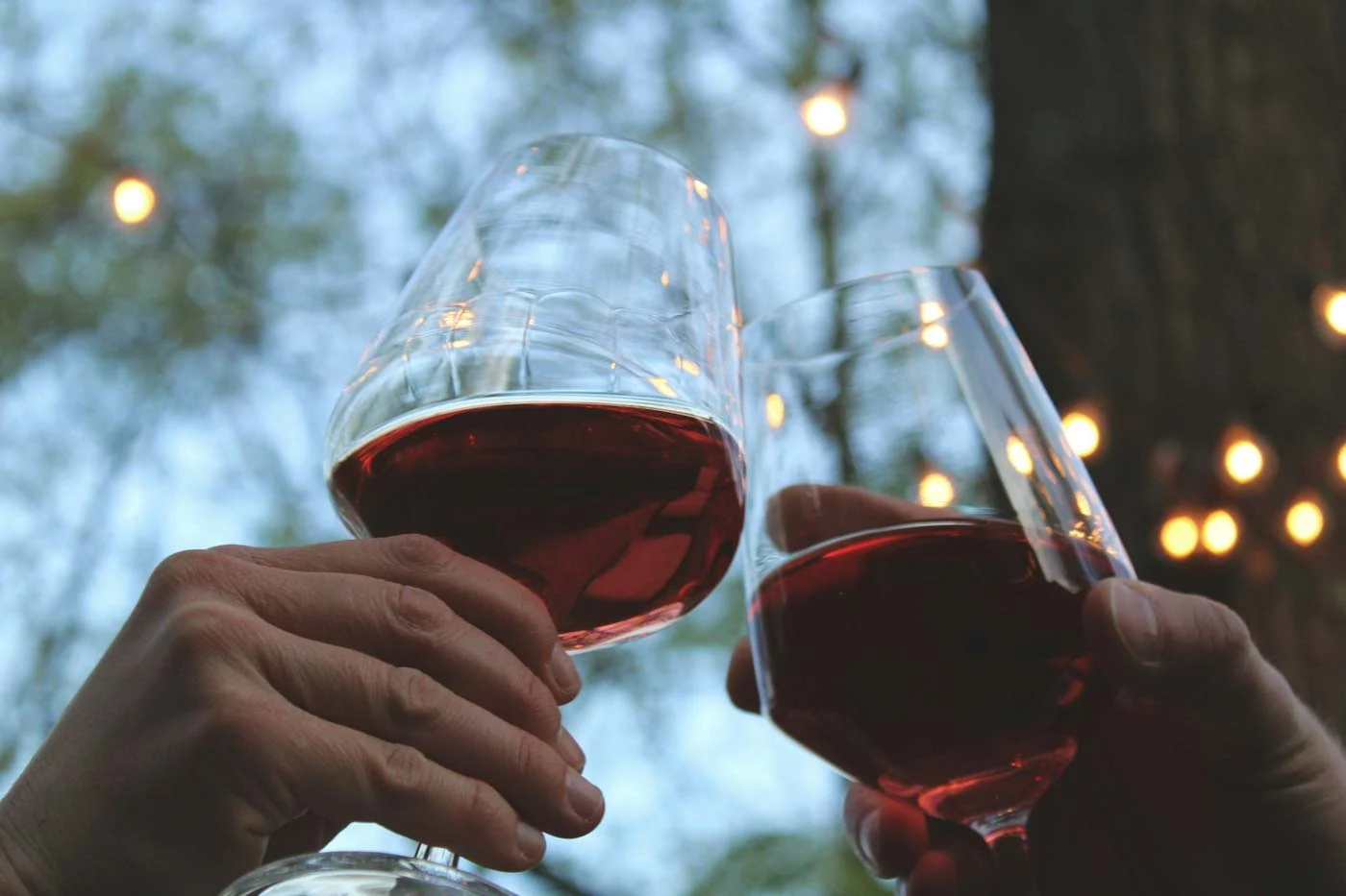 Greatest Wines in Barcelona | Consuming Europe