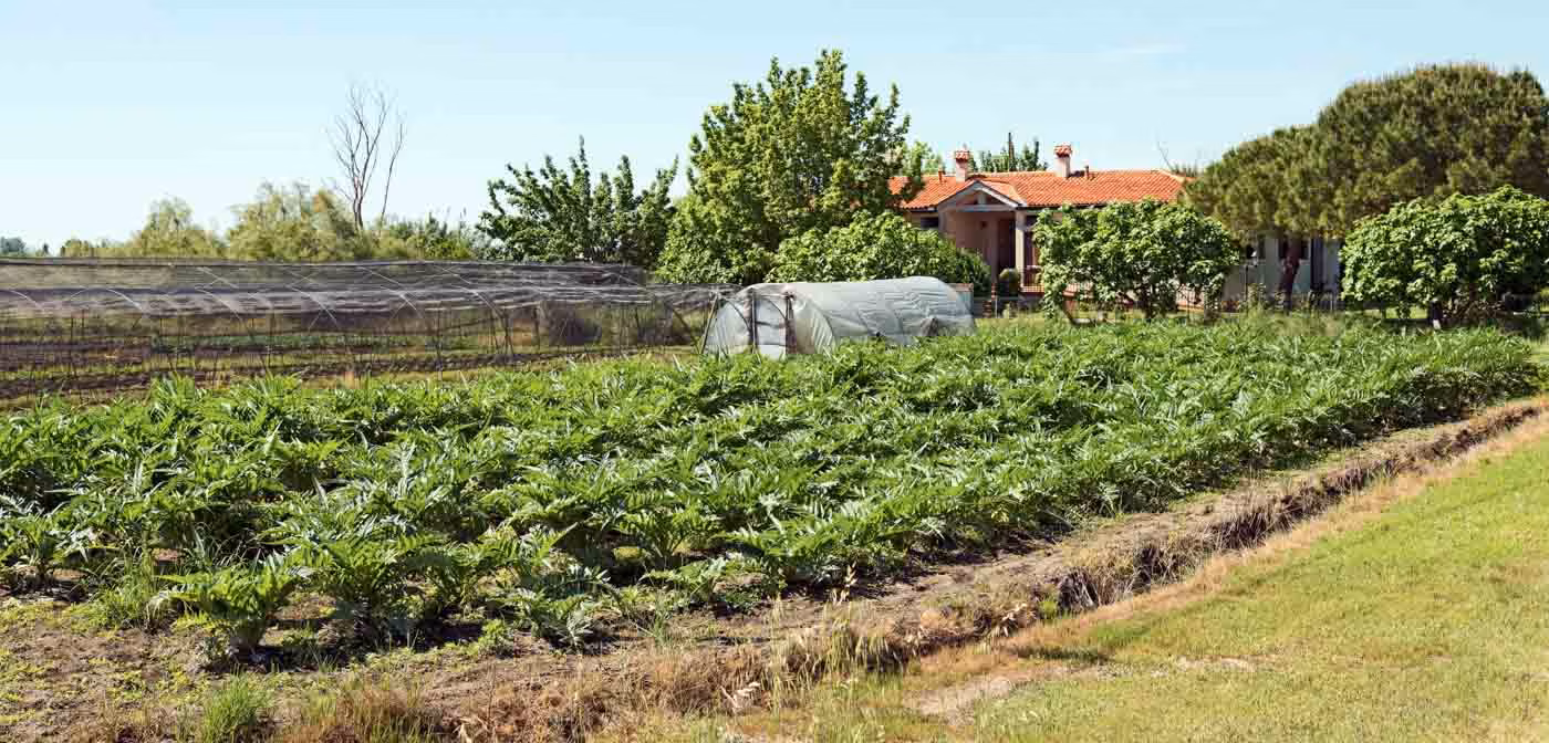 Santerasmo_farm