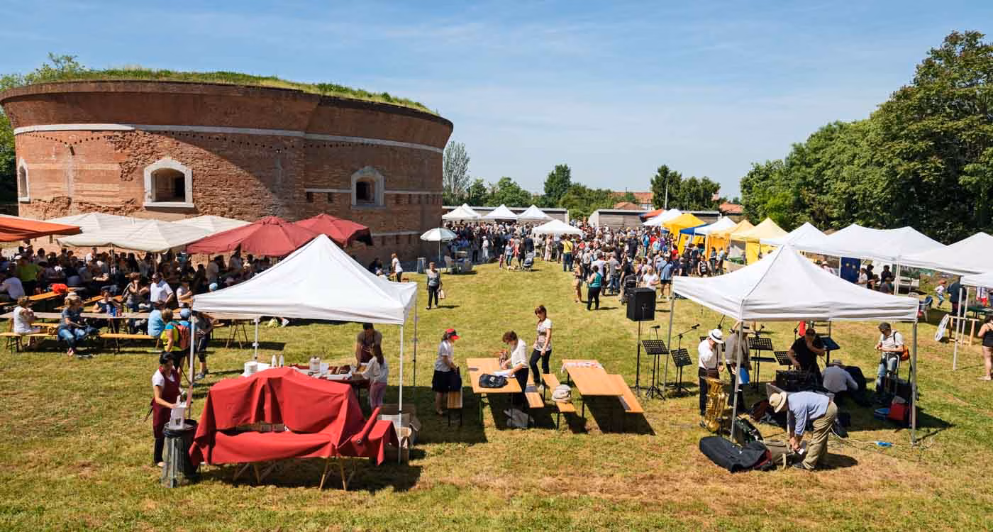 festa_del_carciofo_violetto_SantErasmo