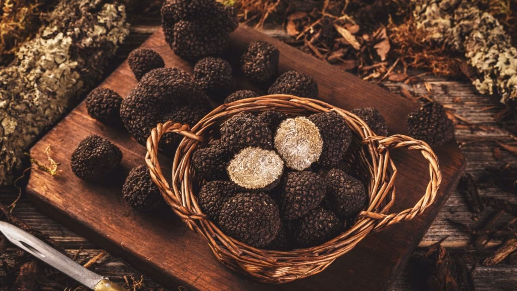 Truffle 1