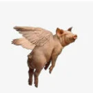 Ricardito113 Avatar