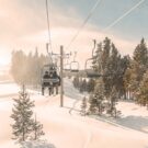 Carrie Peterson Avatar