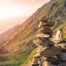 Fearless34481490392 Avatar