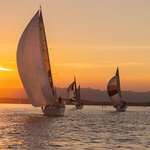 susansX9690DH Avatar