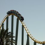 GoPlaces39265364113 Avatar