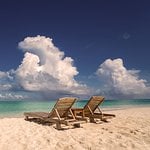 dianecS8975YO Avatar