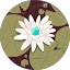 Leya Vishnevsky Avatar